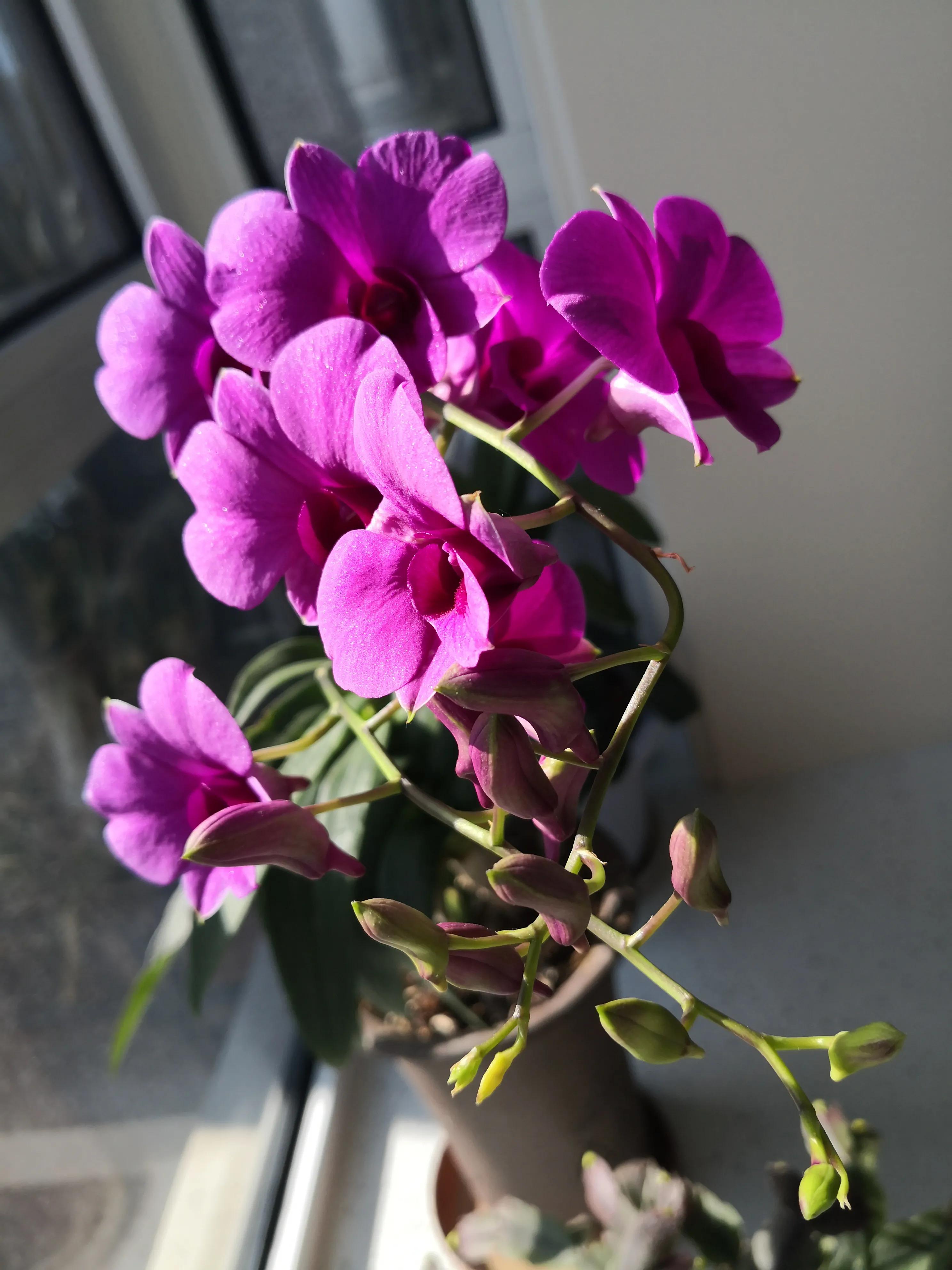 中国足球近20年下坡路,中国足球圈的丑闻事件