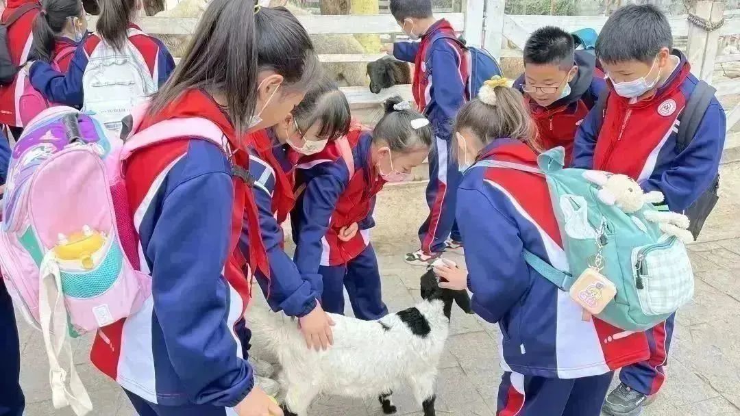 种子乐园游玩攻略,种子乐园2-6岁儿童科普