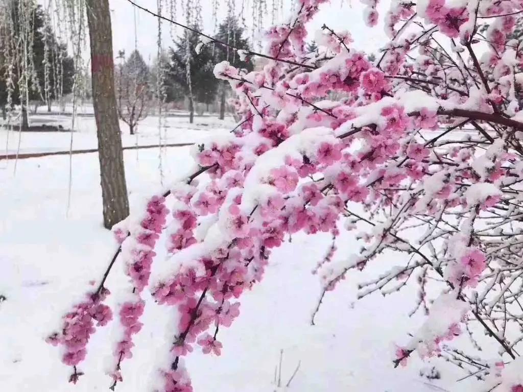 适合白手起家的小本创业,6个适合在家创业项目推荐