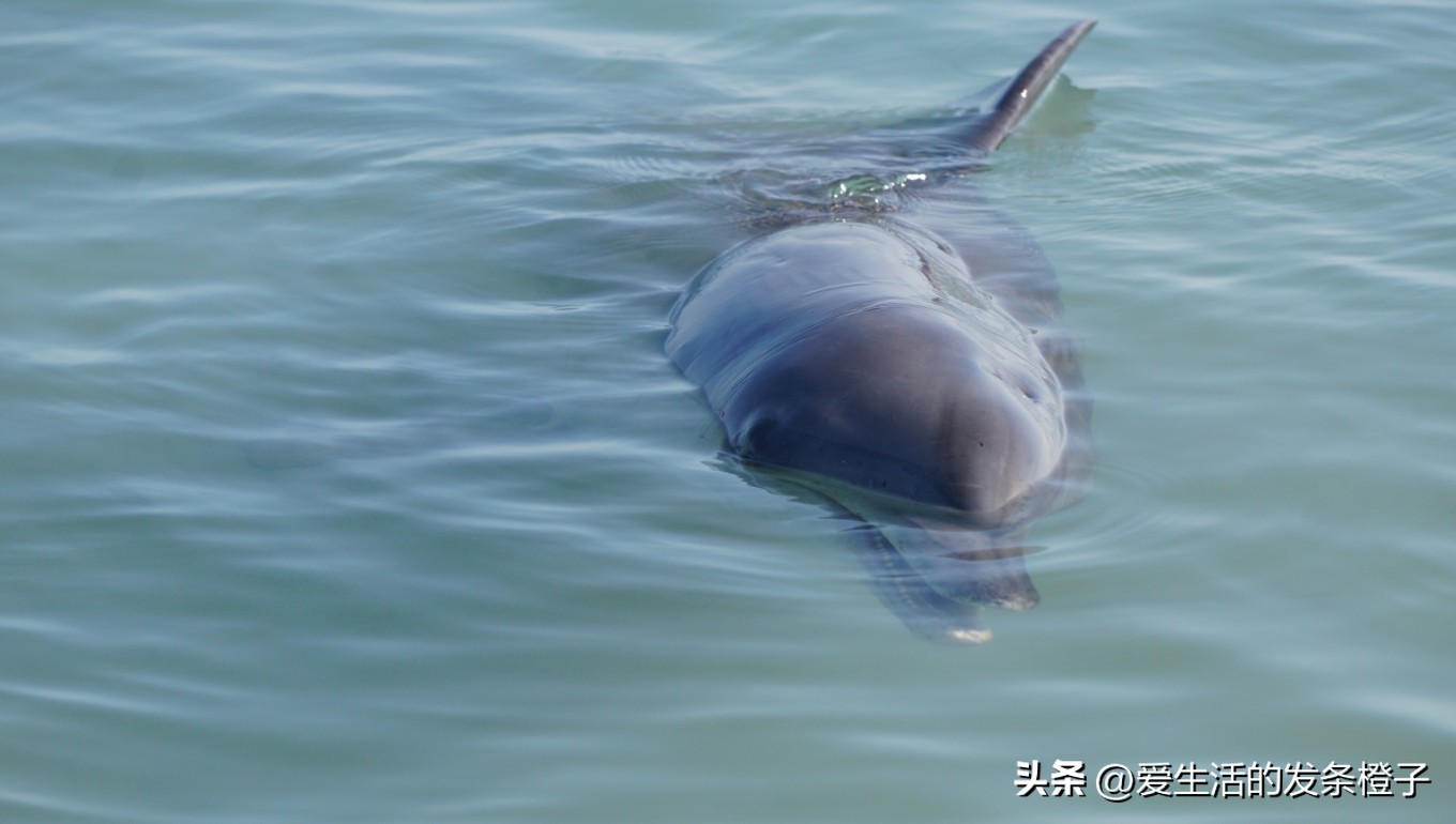 一路向北全程1980公里,西澳自驾游最佳路线图