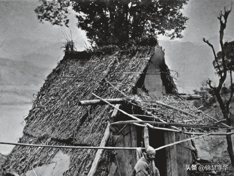 二战女德军士兵照片,老照片二战后悲惨的法国女性