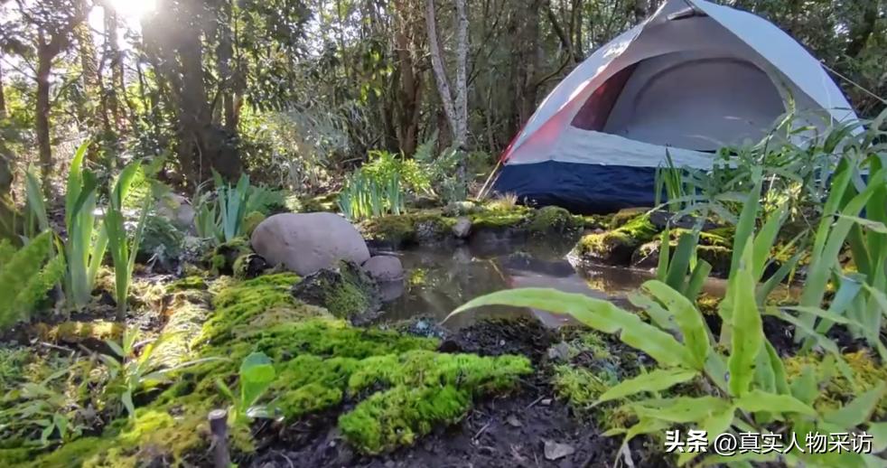 我80后，放弃上海的房和车，买200亩山林，和老公隐居山林，真爽