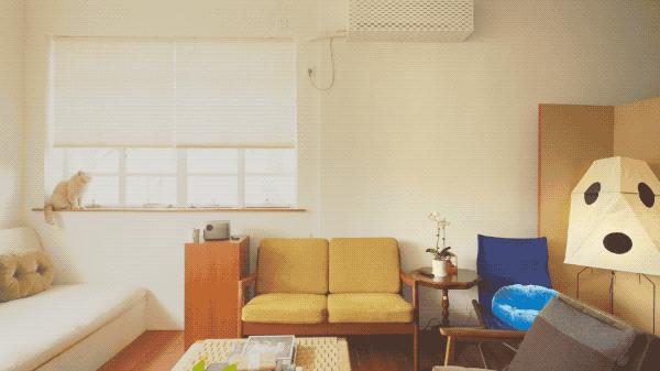 独居上瘾?她9年换租4个上海老洋房:一个人住是我的生活底线