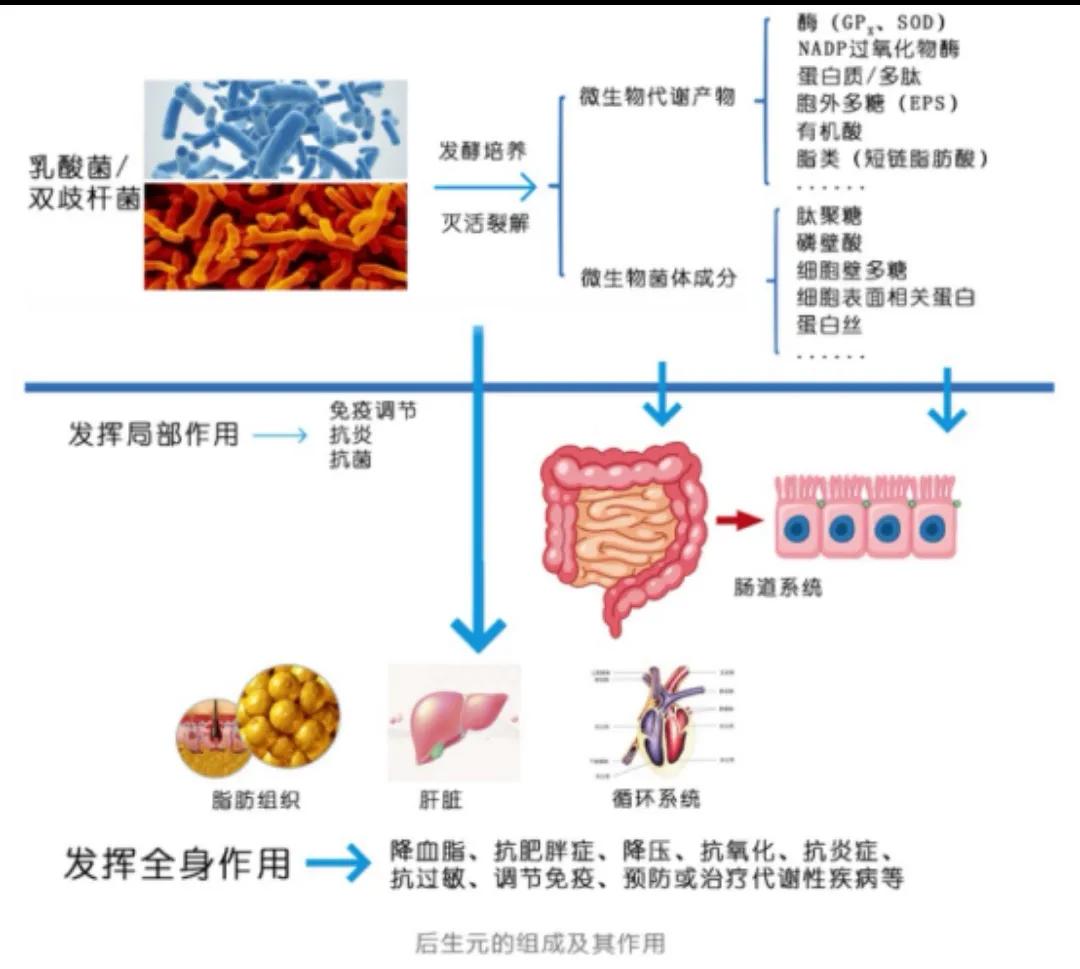 如何抓住大健康产业这个机会,健康新产业新模式