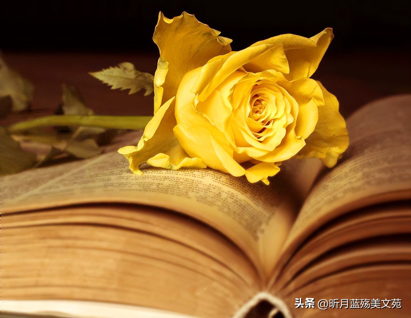 默默的守护着你什么意思,我会默默守护着你下一句