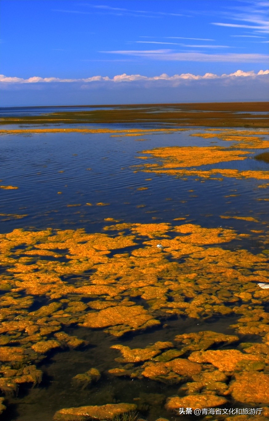 秋分至一叶落平分秋色什么意思,今日秋分秋高气爽不负人间好时光