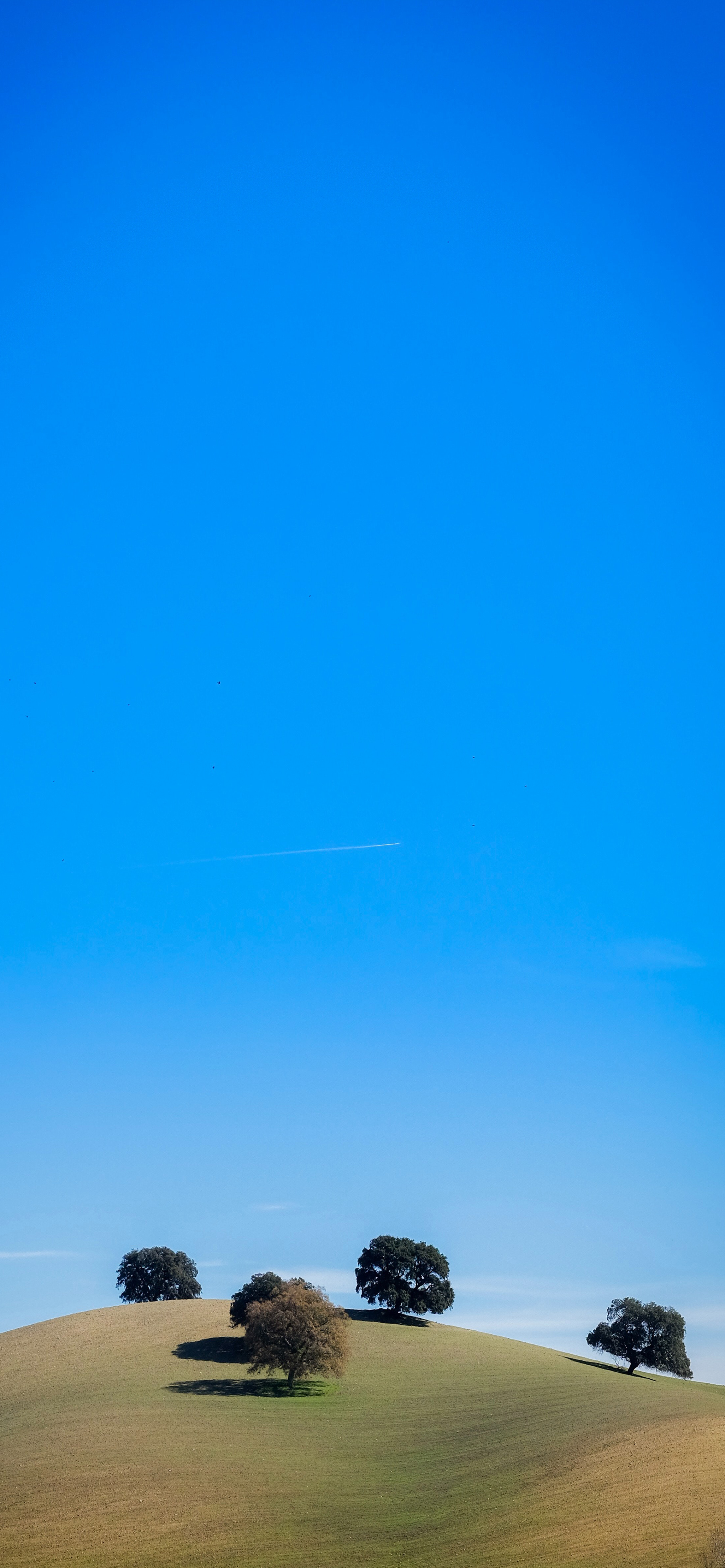 iphone13promax手机壁纸,iphone13promax壁纸4k全面屏