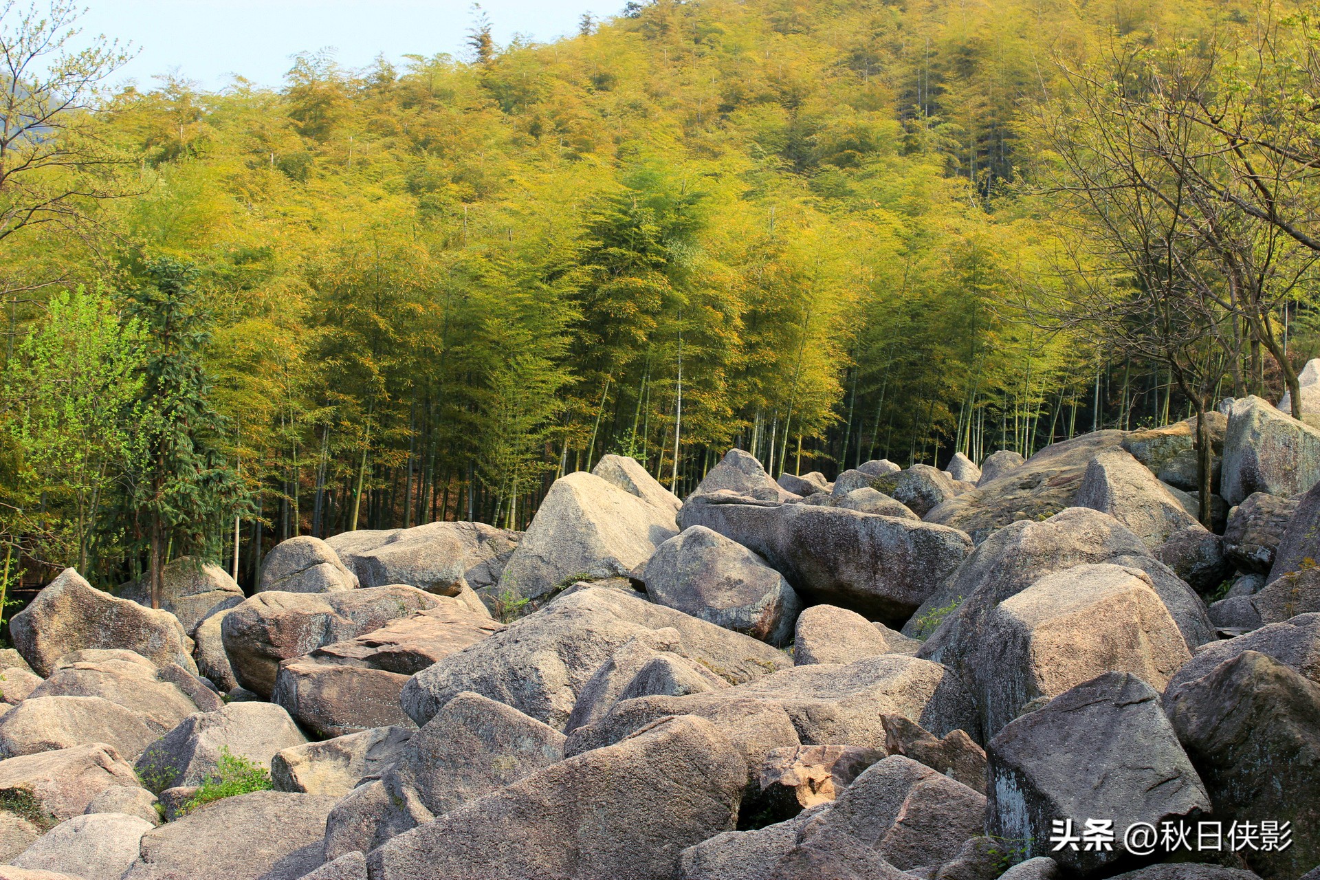 杭州自驾一日游景点推荐春季,这个季节杭州附近的旅游景点推荐