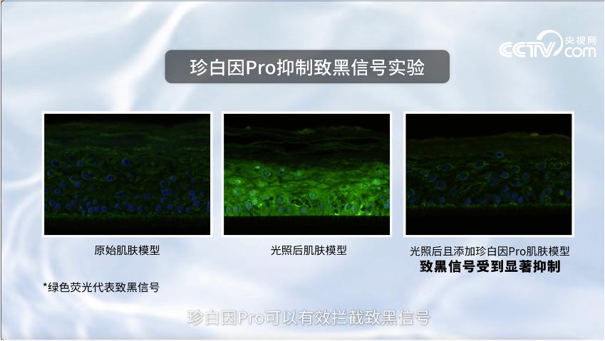 《从此刻起》全文朗读视频,欧诗漫经典语录