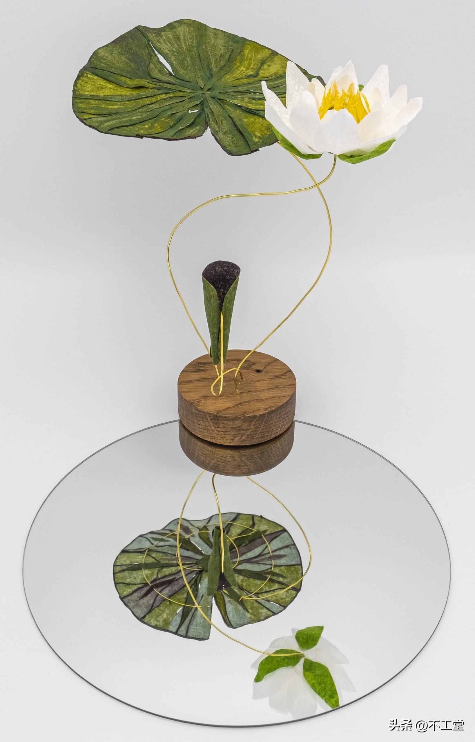 手工压花康乃馨植物标本,中学生手工植物标本