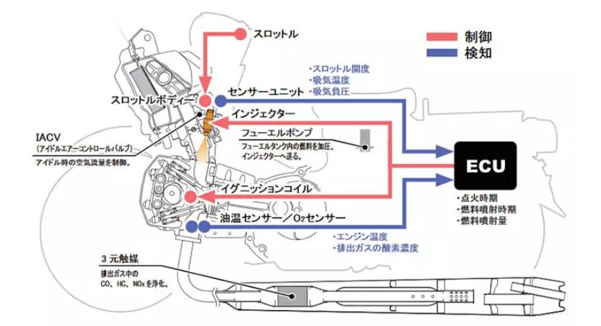 二轮考古学-本田幼兽编年史合集（1952-今）