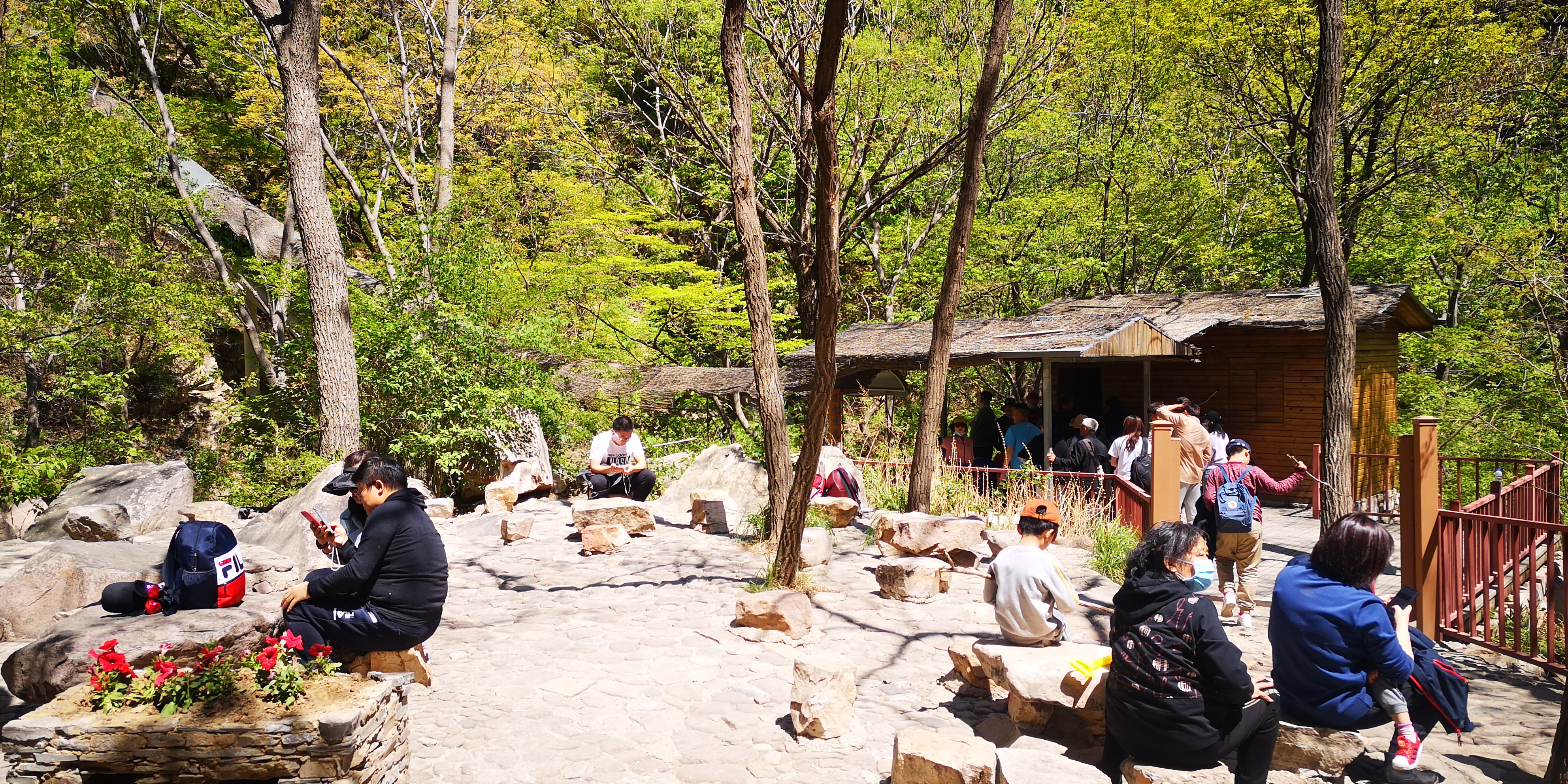 天津梨木台景区值得夏天去的地方,天津蓟县梨木台风景区路线