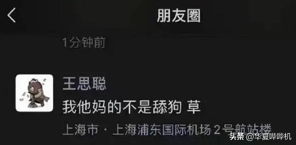 盘点王思聪的女朋友们,王思聪所有女友的详细介绍