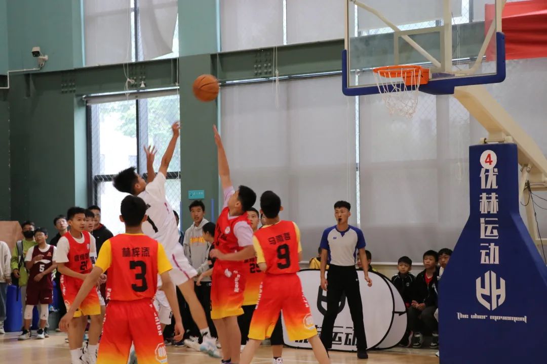 彰显青春活力的体育活动,红河县体育比赛