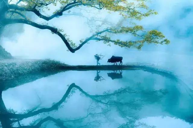 关于立春的诗词精选10首,立春的诗句20首