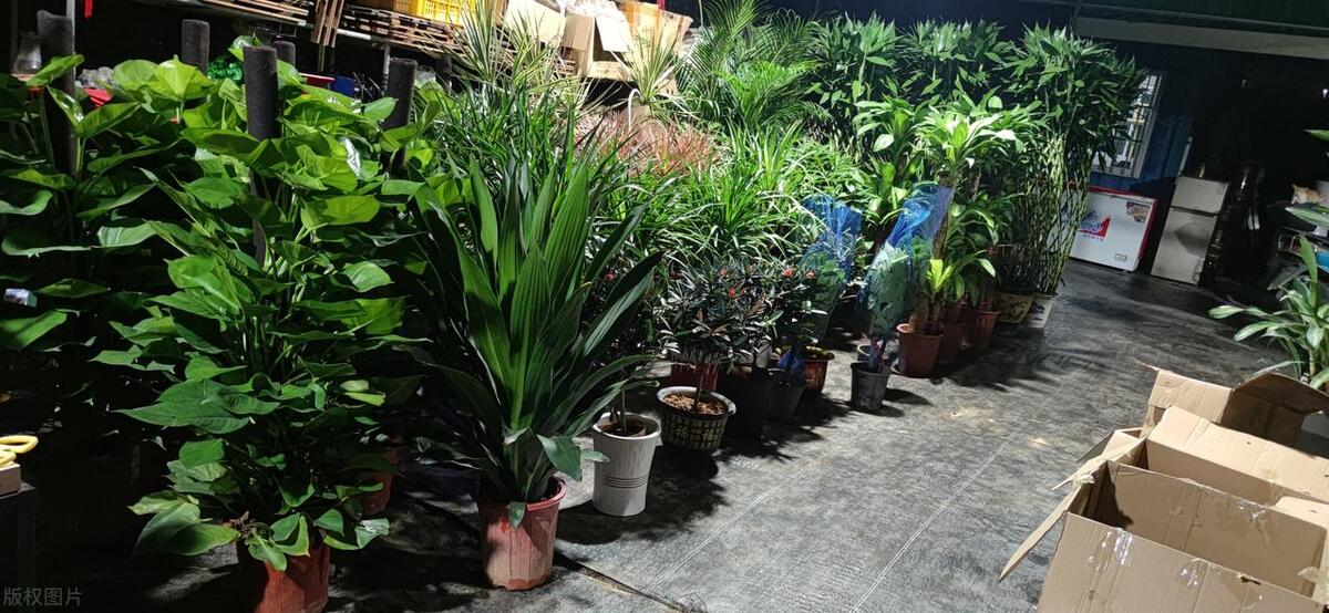 近几年比较冷门赚钱的生意,低投入高回报的四个最赚钱生意