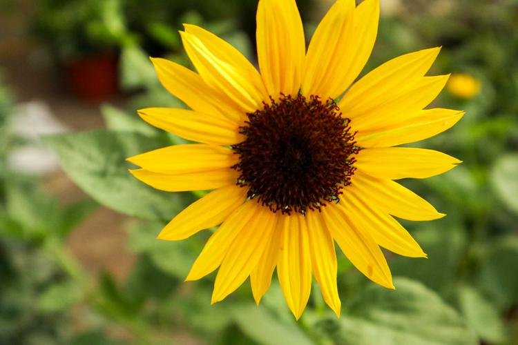 赚钱是世上最好的修行读后感,赚钱是最好的生意是一种修行