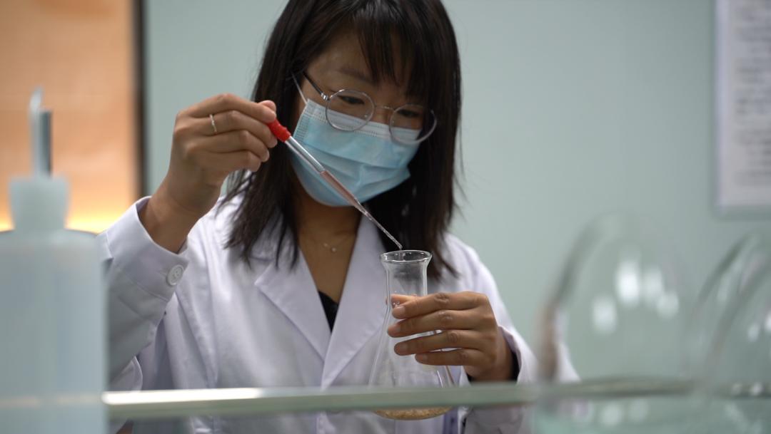 弘扬蒙古马精神|小燕麦解锁农民增收致富“新密码”