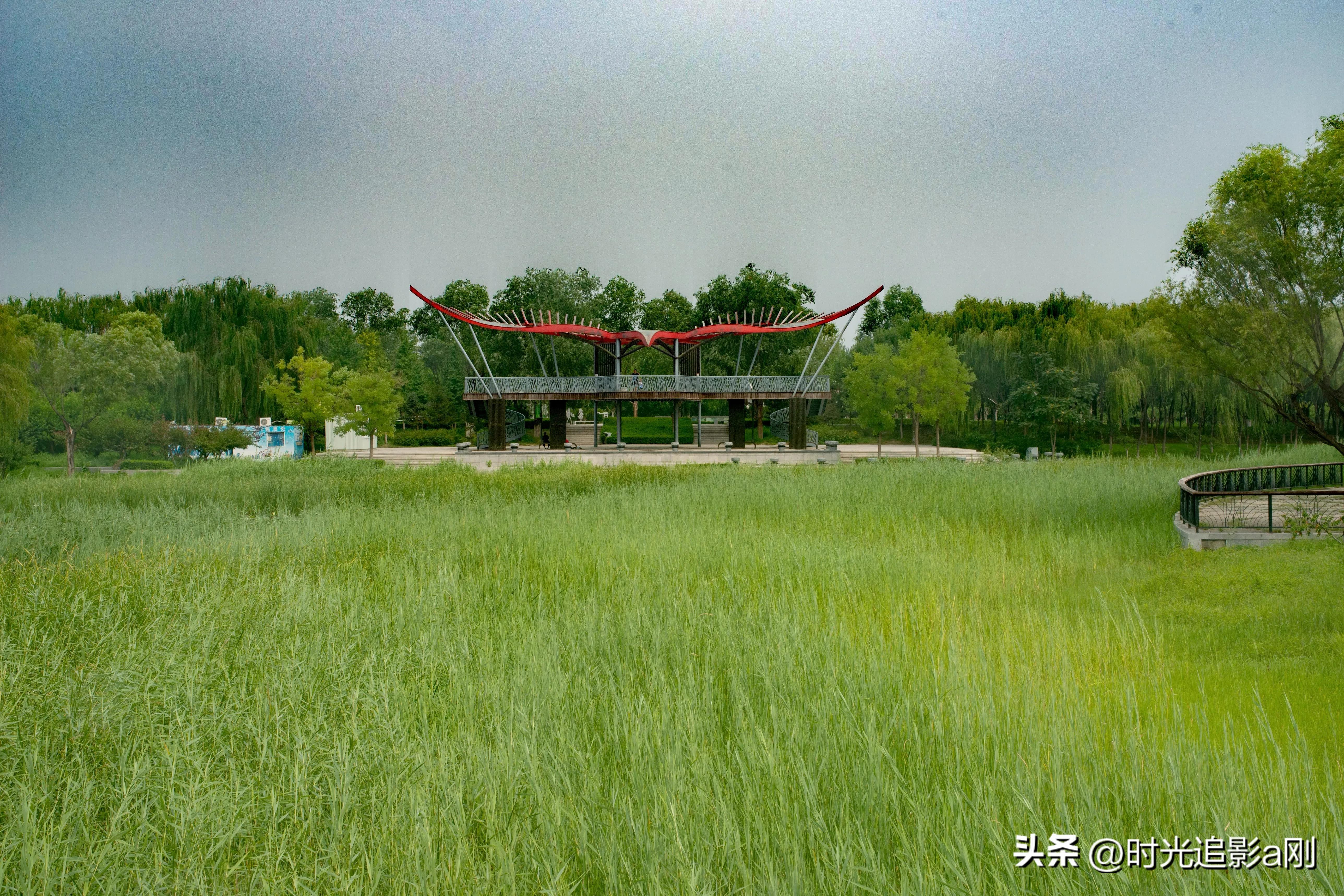 秋日时光音乐会花絮,秋日傍晚公园的美景