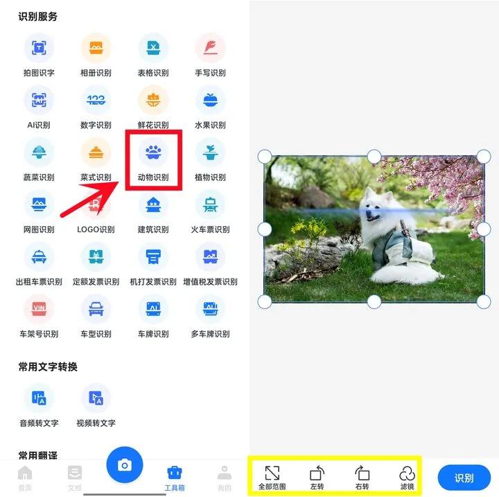 能够识别植物或动物的app,有什么app软件能识别各种动物