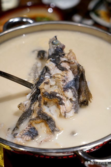 河鲜四大名鱼,最顶级的河鲜鱼