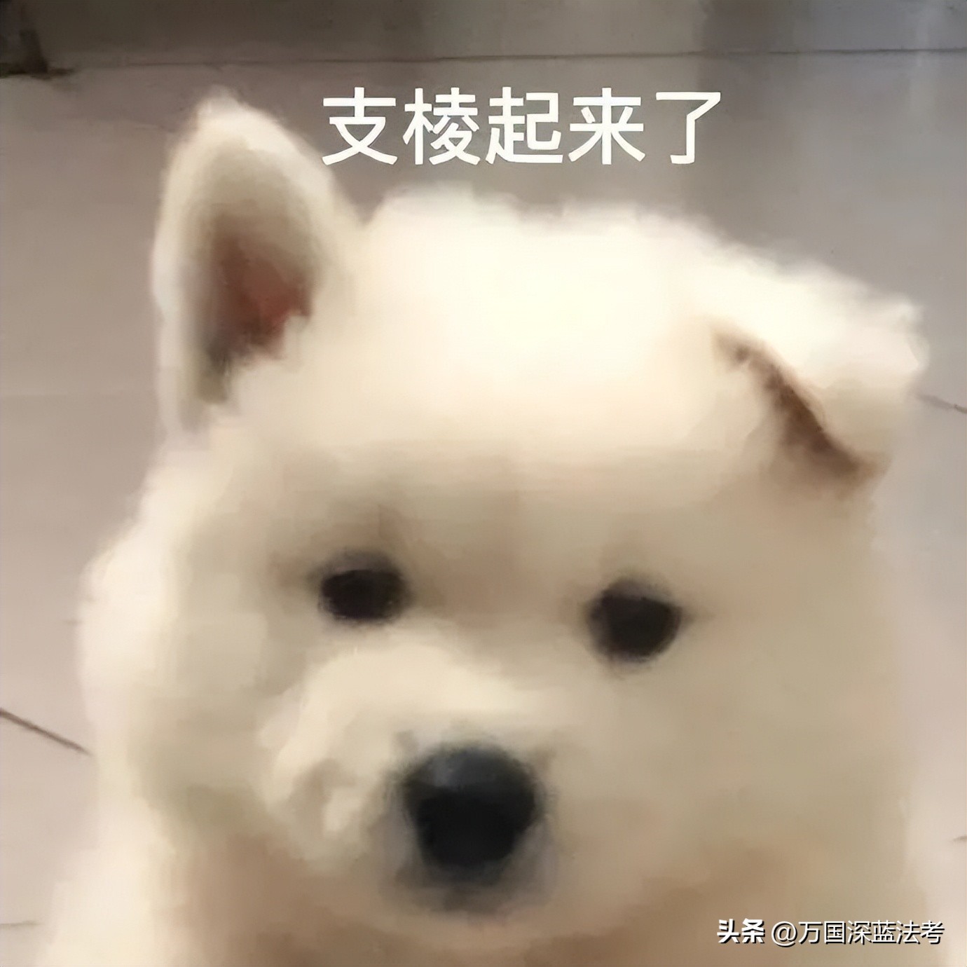 客观题考试开始报名,客观题考试注意事项