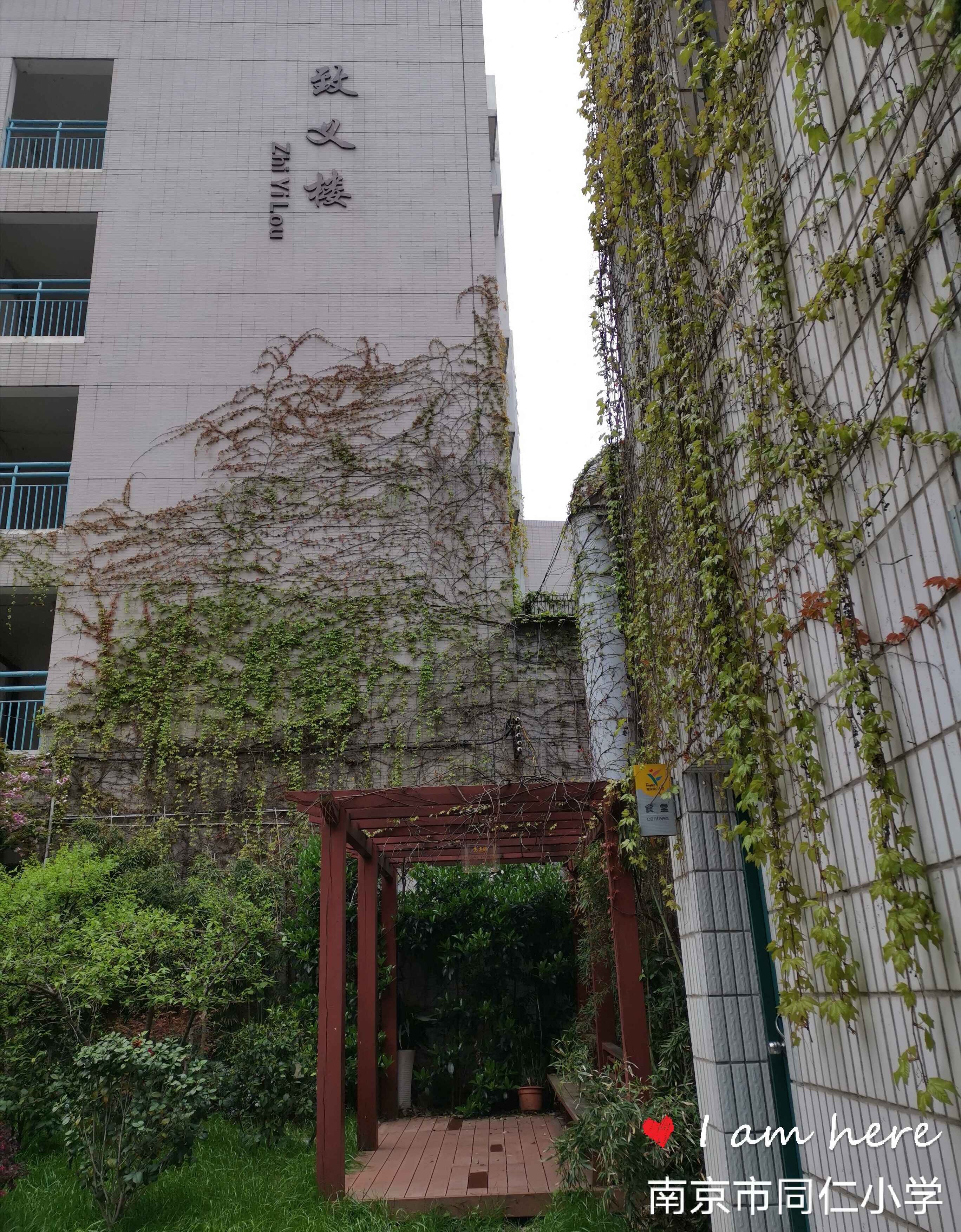 鍚屽績鍏辫偛鍔╁姏瀛╁瓙鍋ュ悍鎴愰暱,鍚屽績鍏辫偛鍔╁姏鎴愰暱