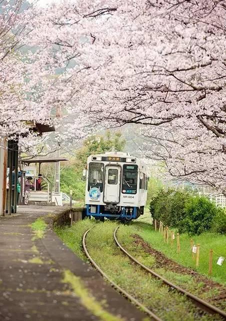 散文在这个冬日遇见更好的自己,冬季感悟人生的散文