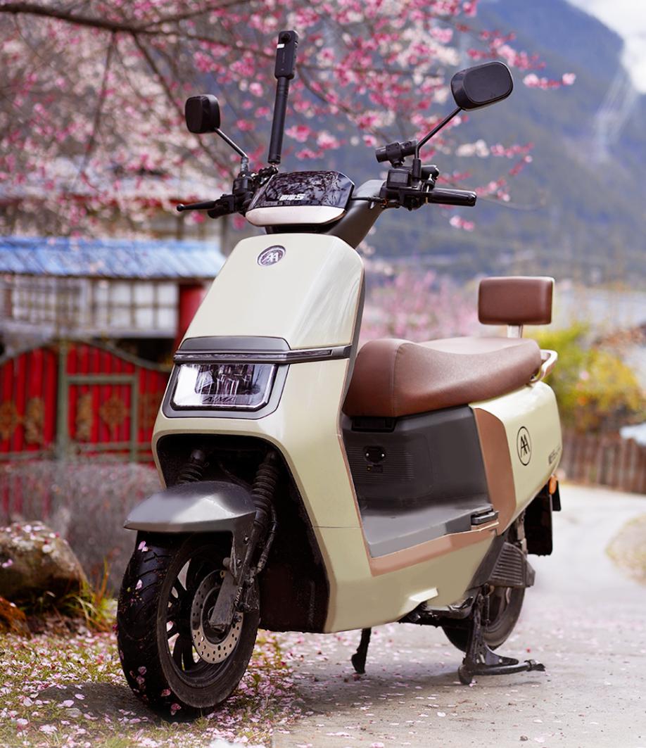 电动车十大品牌质量排行榜2021,最好的电动车品牌排名前十2021