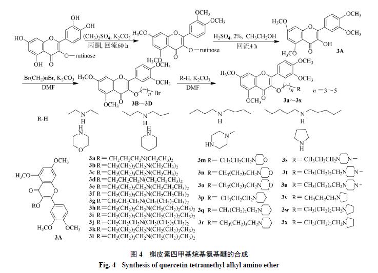 槲皮素的氧化机理,槲皮素的有关药物活性成分