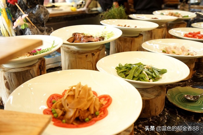 无名河我心中的伊甸园,画出我心中的伊甸园