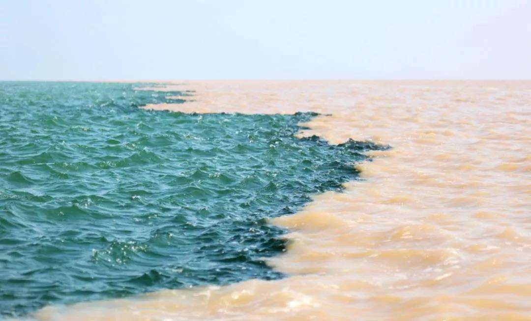 黄河下游堆积的泥沙,黄河下游河床高为什么不挖掉