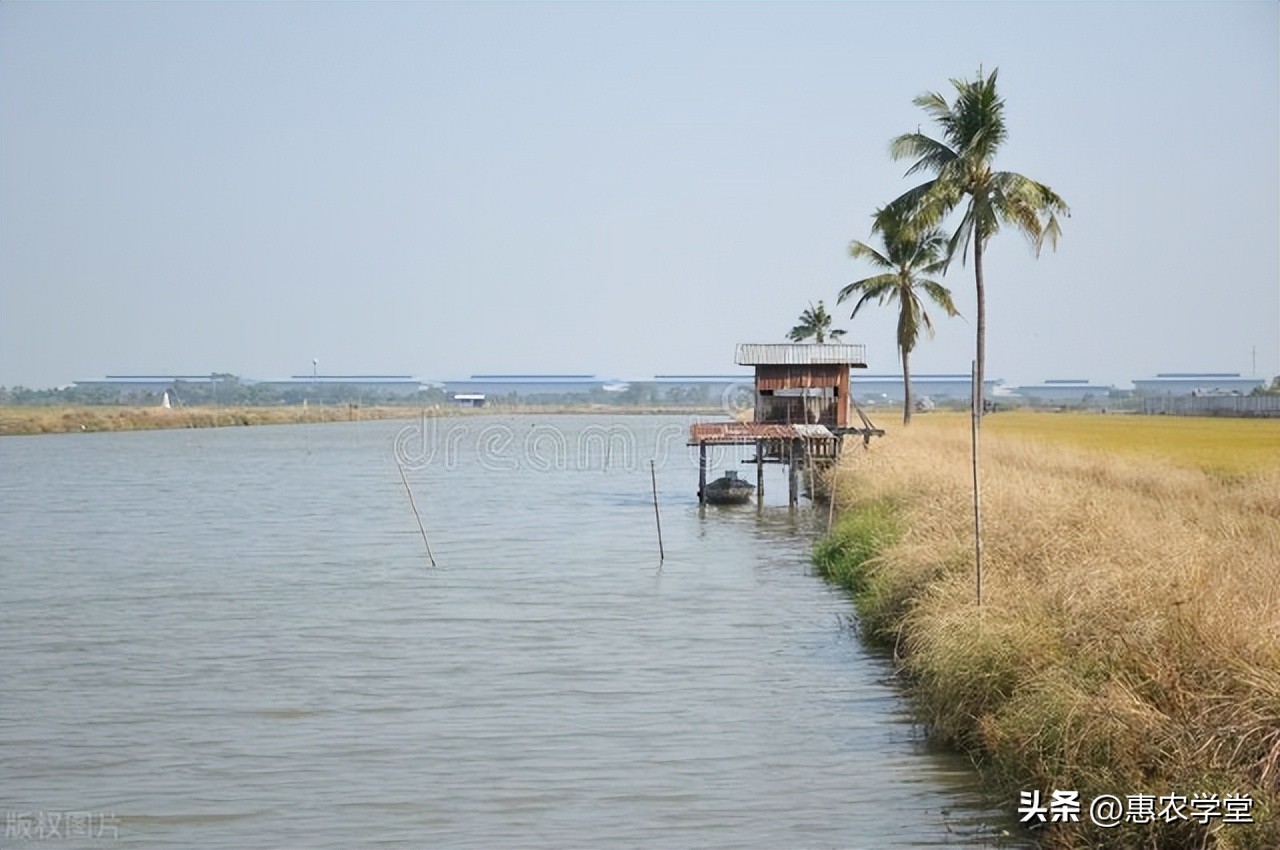 2022年水产养殖国家有多少补贴款,2019年水产养殖补贴多少钱一亩