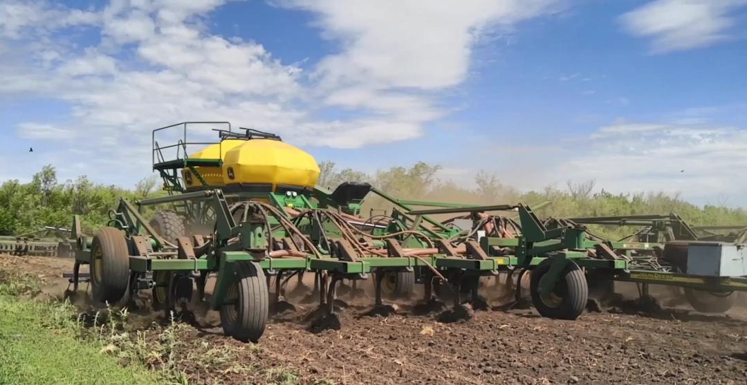 爱菊在“一带一路”绚丽绽放