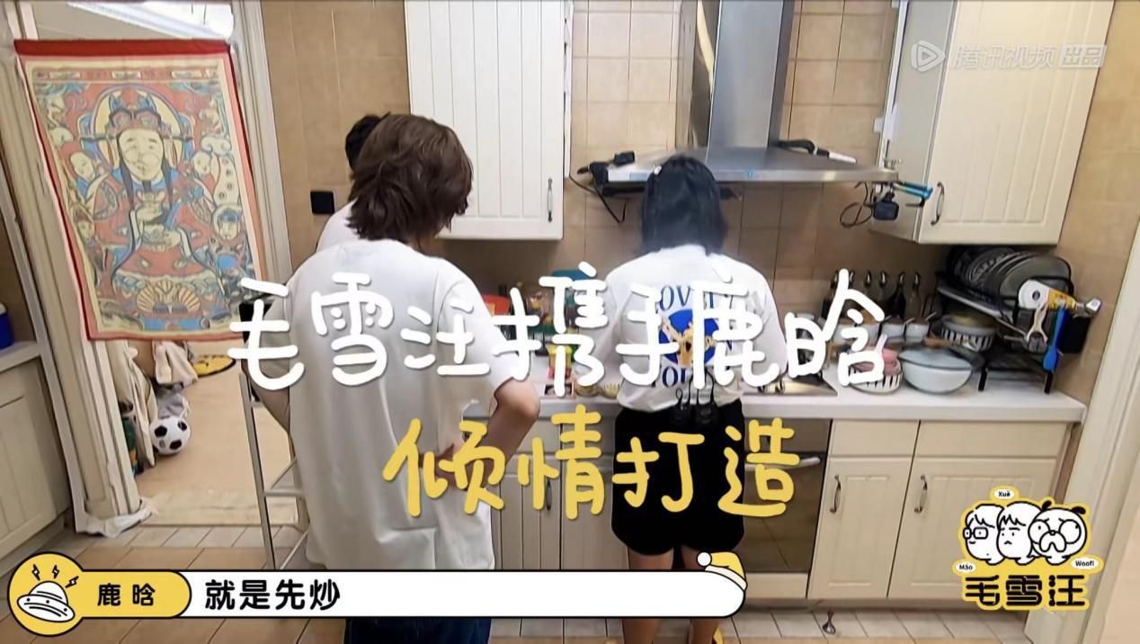 鹿晗毛雪汪预告完整版,毛雪汪reaction鹿晗