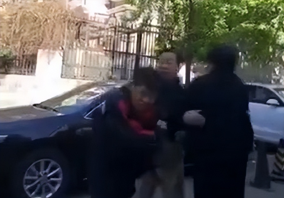 顺丰小哥被打最后王卫怎么处理的,2016年顺丰快递员被打