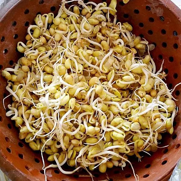 家庭如何自生豆芽？一根编织袋，两把黄豆，五分钟学会