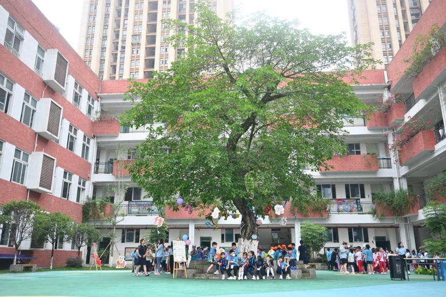 大渡口育才双山实验小学,大渡口区双山实验小学图片