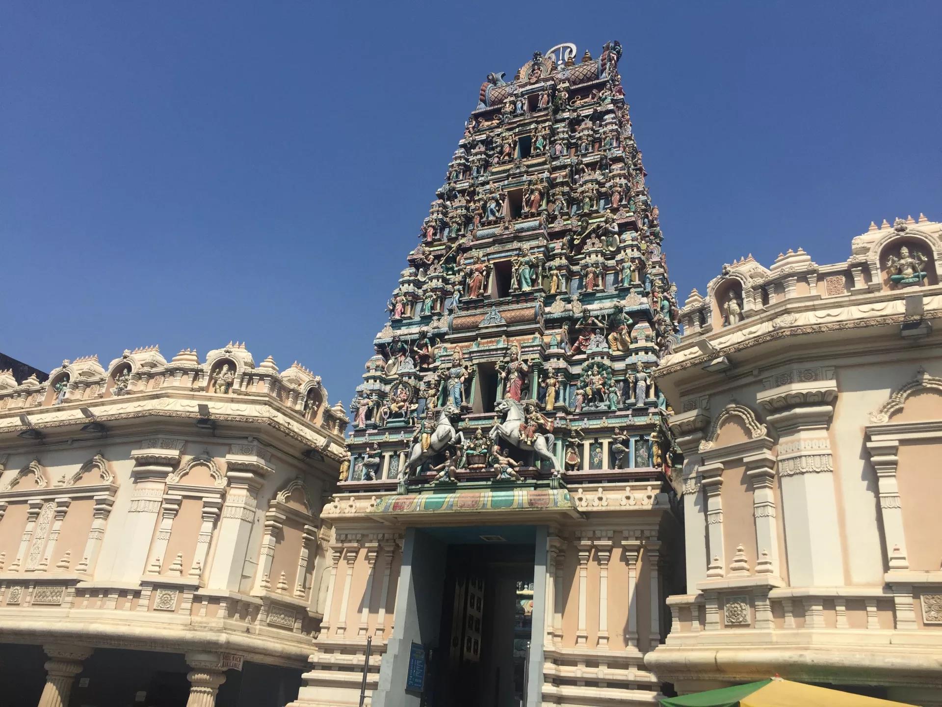 钱猫猫王者荣耀,钱猫猫的视频