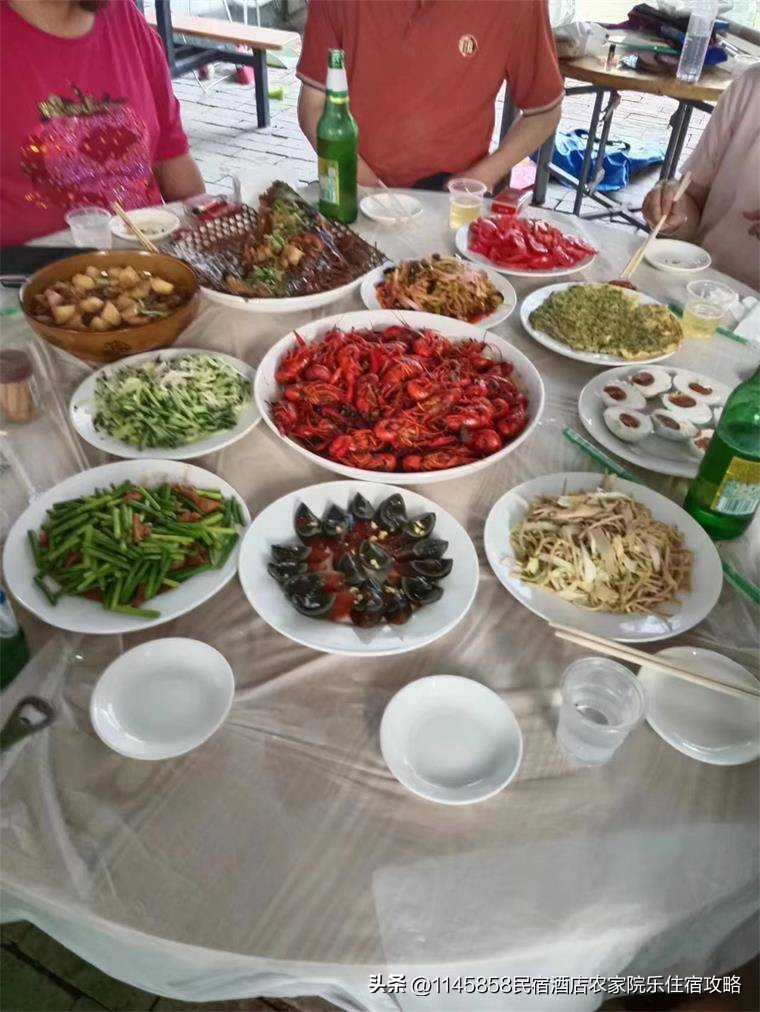 白洋淀农家打鱼,白洋淀农家院野钓推荐