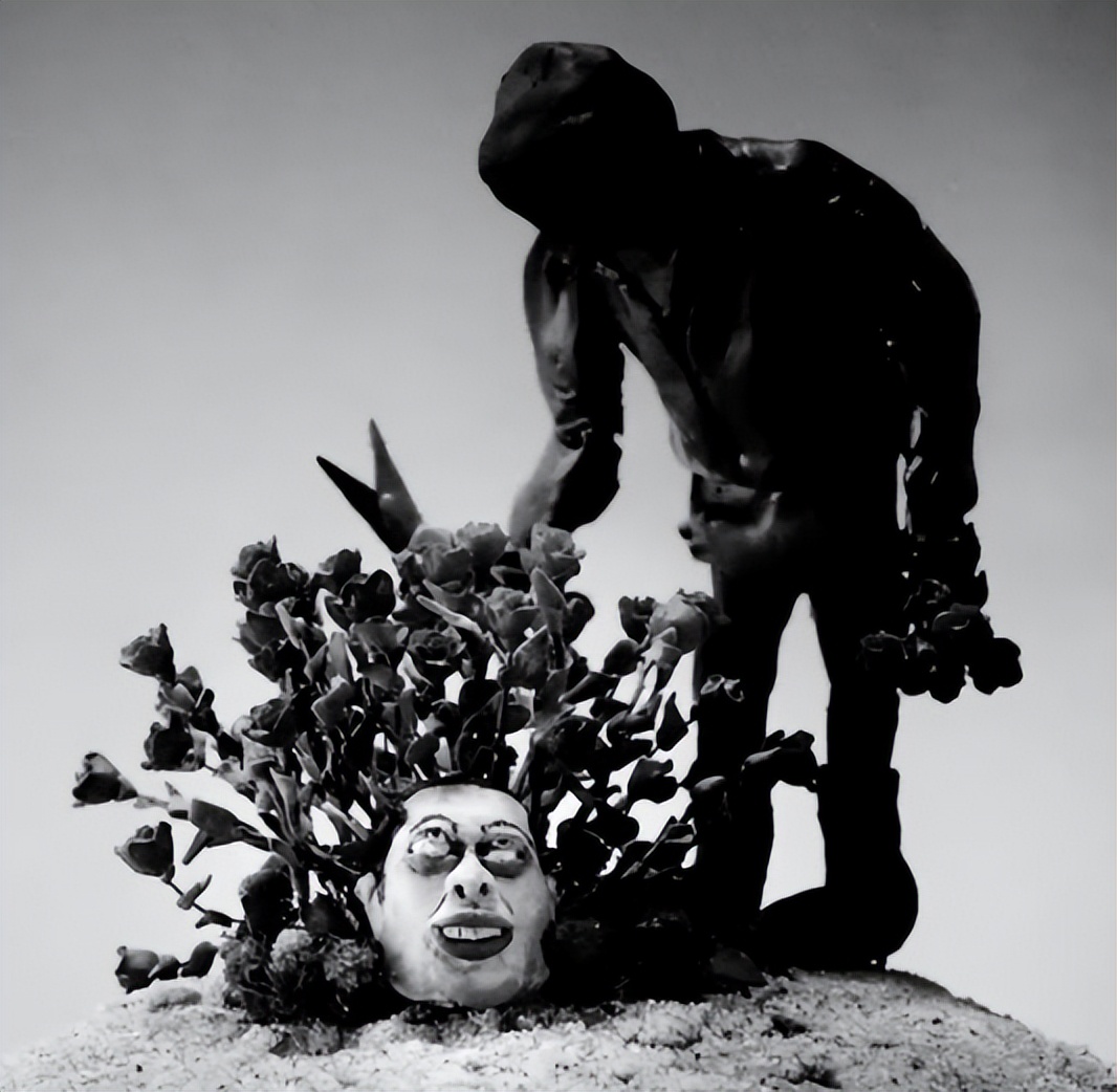 明星离婚20多次,2019明星们离婚