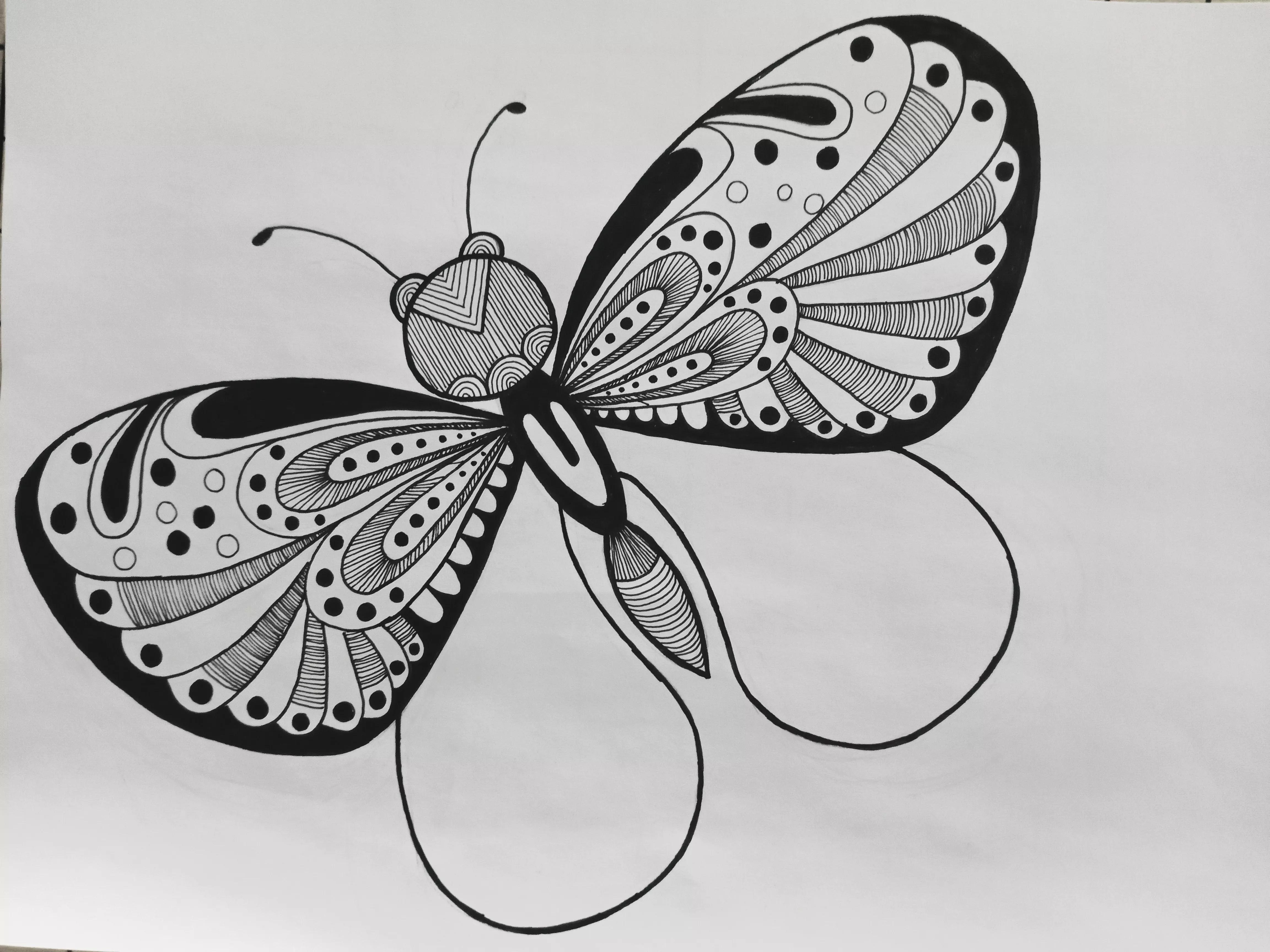 蝴蝶线描画绘画过程,绘画蝴蝶教程线描画