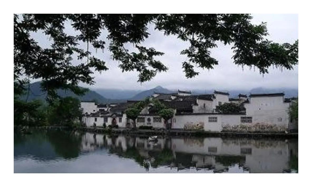 到浙江美丽乡村参观收获,考察浙江美丽乡村感想体会