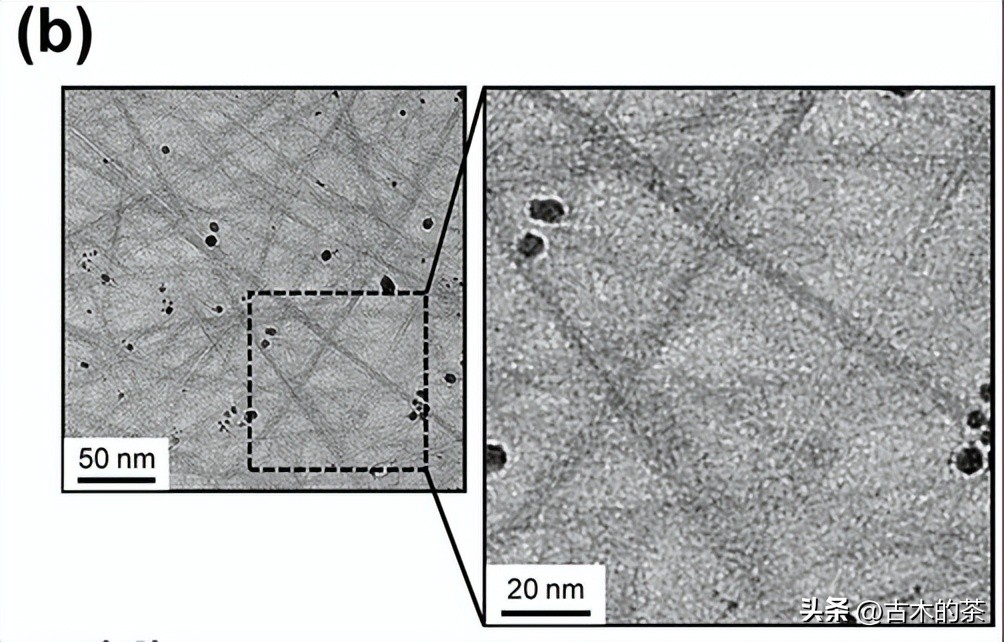 管间连接聚合物结构和形态，对共扼聚合物/碳纳米管的影响