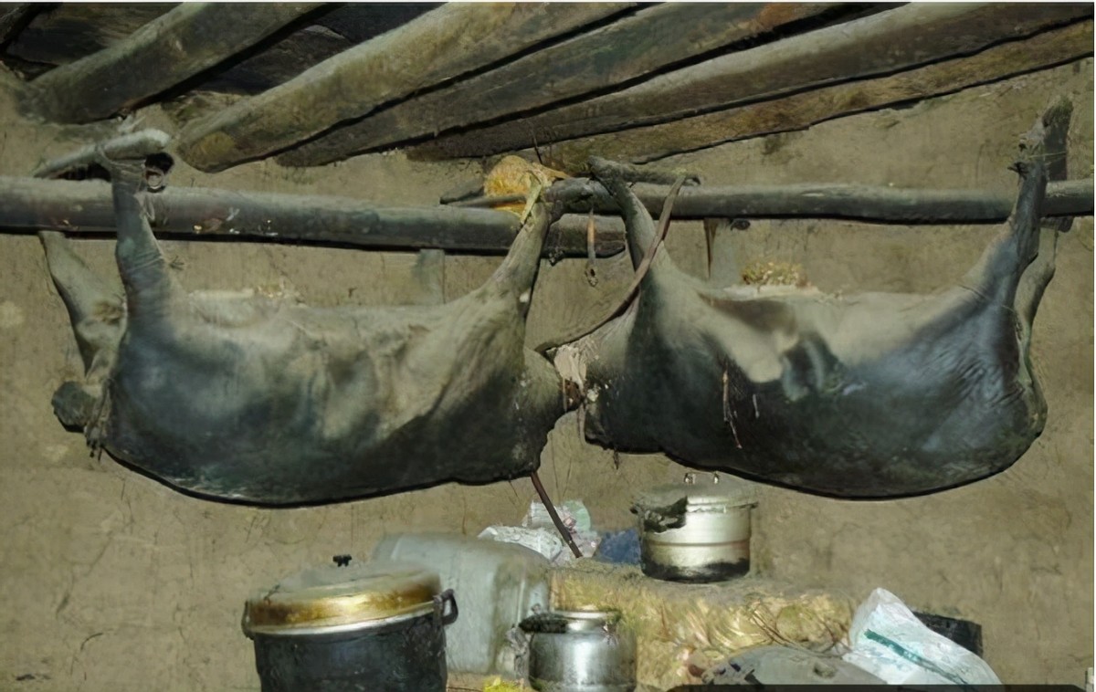 四川亚卓30多年的臭猪肉算美食吗？当地拿来入药熬汤，味道如何？