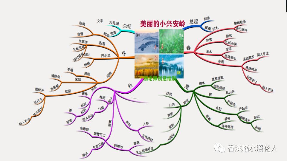 「线上线下,我们在一起」“思维导图学语文”《美丽的小兴安岭》