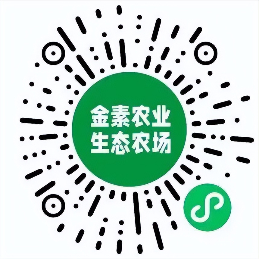 粮油蔬菜水果干果百货,果蔬生鲜超市米面粮油