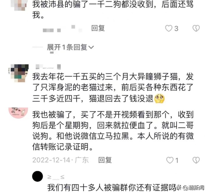 宠物线上代购主播的一出“好戏”背后圈套：谁演得好谁就赚得多