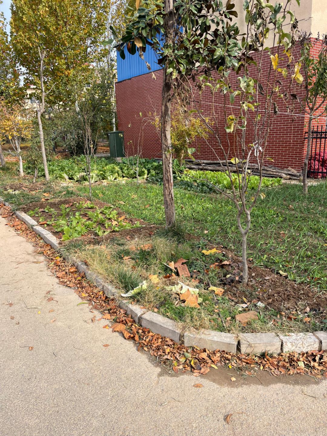 董董骑行山东,懂懂骑山东