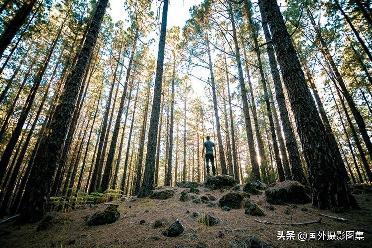 世界顶级唯美人像摄影师,世界顶级自然摄影师作品